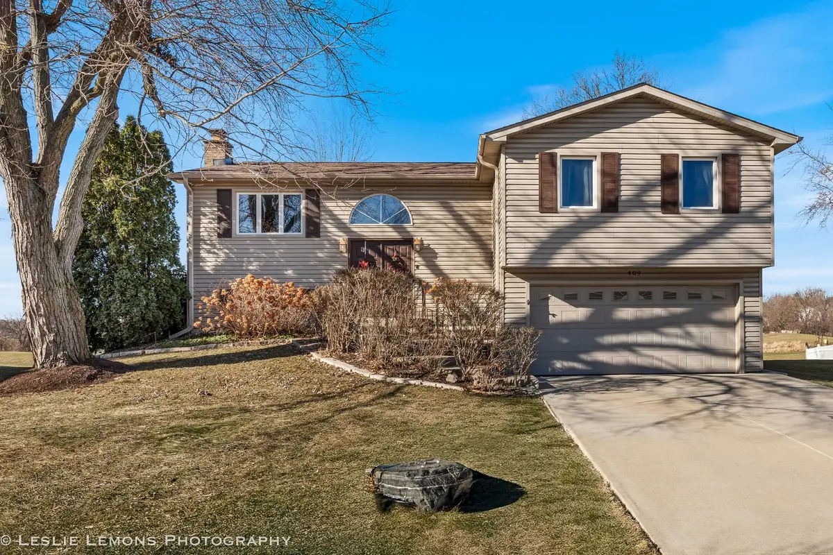 409 N Ashbury Avenue, Bolingbrook, IL 60440 - #1