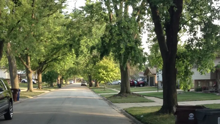 Address Withheld By Seller, Glenwood, IL 60425 - Image #2