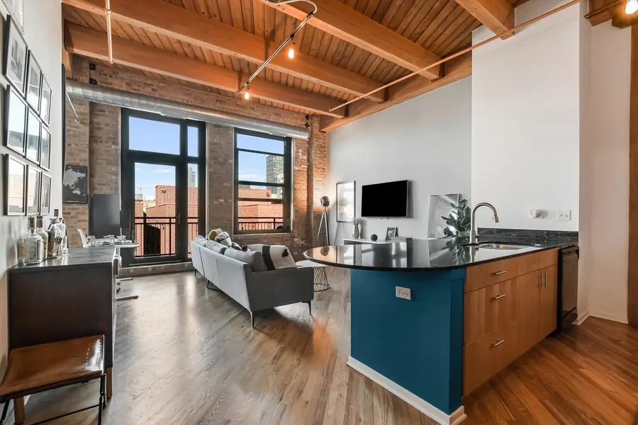 1040 W Adams Street #417, Chicago, IL 60607 - Image #2