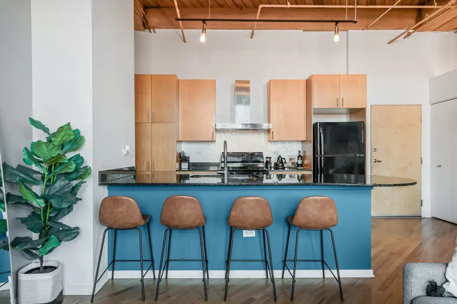 1040 W Adams Street #417, Chicago, IL 60607 - Image #3