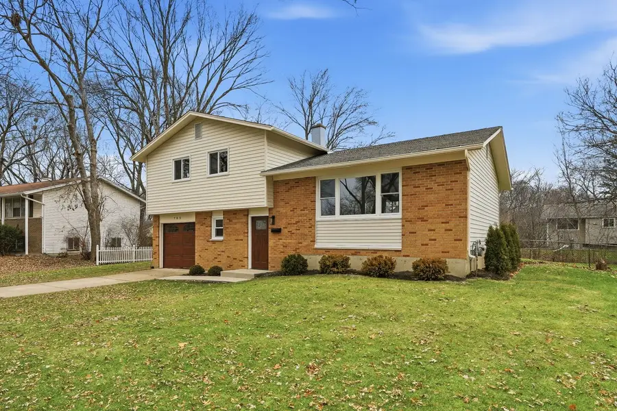 703 N Whitcomb Drive, Palatine, IL 60074 - Image #2