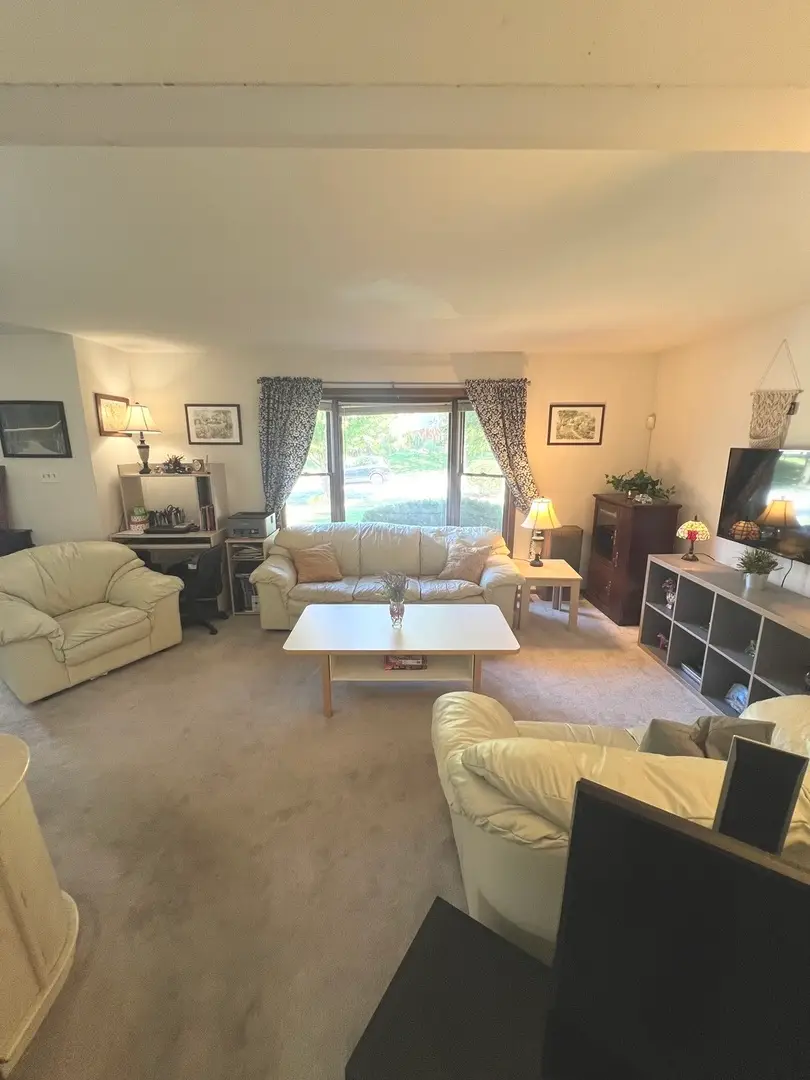 1018 Rain Tree Drive, Bolingbrook, IL 60440 - Image #3