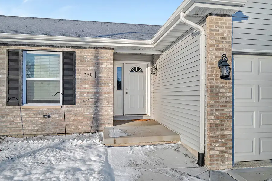 250 S Short Drive, Coal City, IL 60416 - Image #3