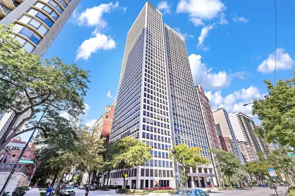 1100 N Lake Shore Drive #11B, Chicago, IL 60611
