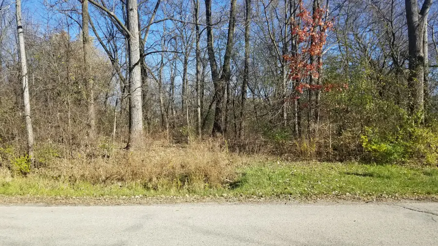 4802 Brorson Lane, Johnsburg, IL 60051 - Image #3