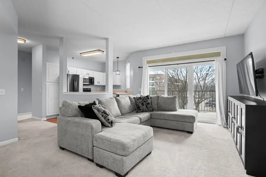 3100 Town Square Drive #204, Rolling Meadows, IL 60008 - #2