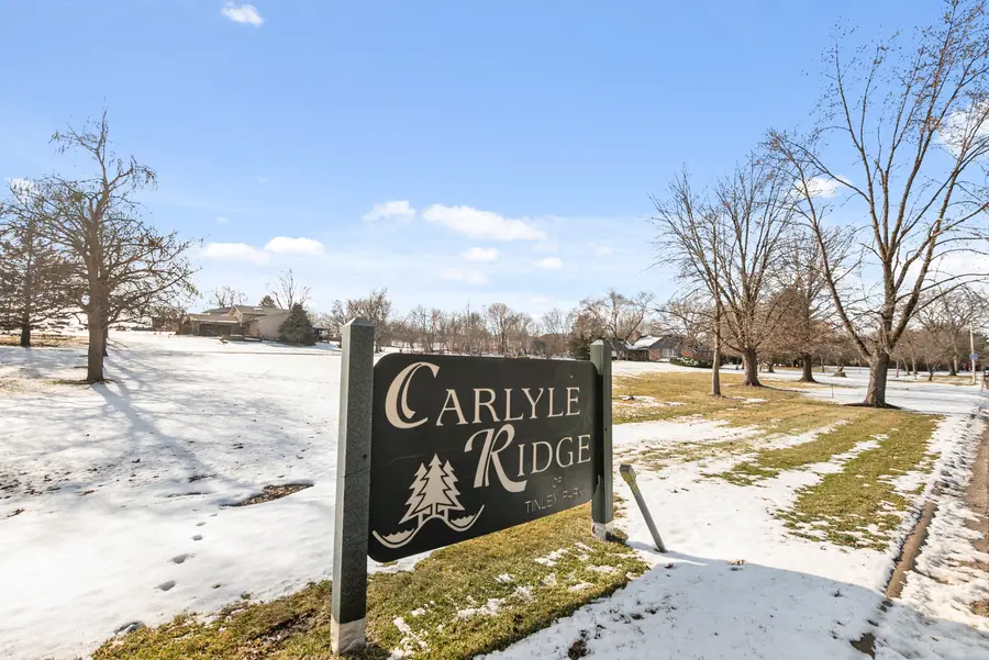 17330 Carlyle Court, Tinley Park, IL 60487 - Image #3