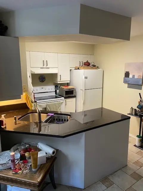 1255 Wyndham Drive #201, Palatine, IL 60074 - Image #3