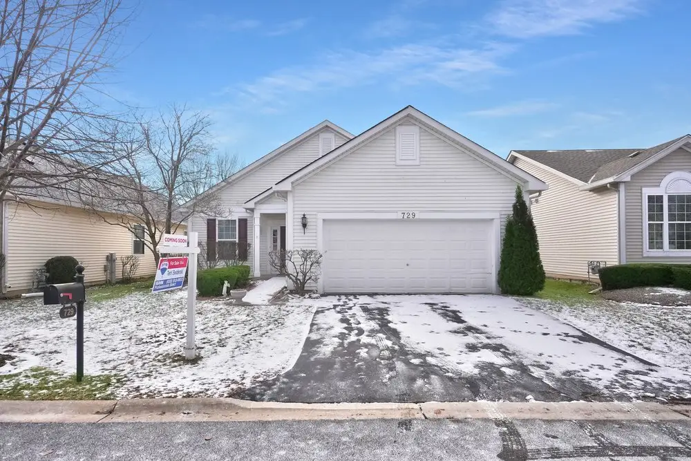 729 S Mecosta Lane, Romeoville, IL 60446 - Image #1