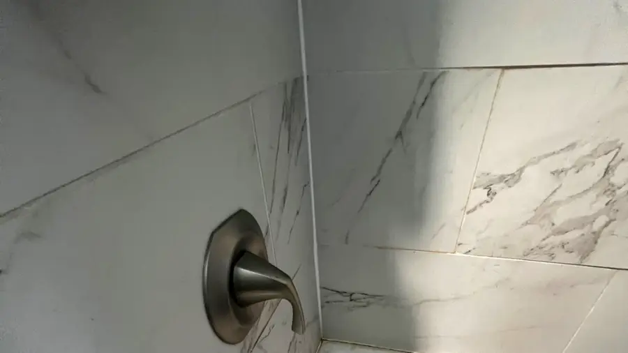 16334 Ridgeland Avenue, Tinley Park, IL 60477 - Image #2