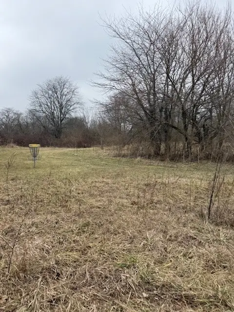 Lots 2, 3 and 4 Burr Oaks Lane, Downs, IL 61736 - Image #2