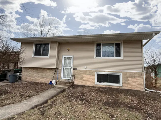 430 N Division Street, Braidwood, IL 60408 - Image #2
