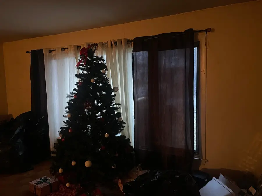 705 W Fitzhenry Court, Glenwood, IL 60425 - Image #3