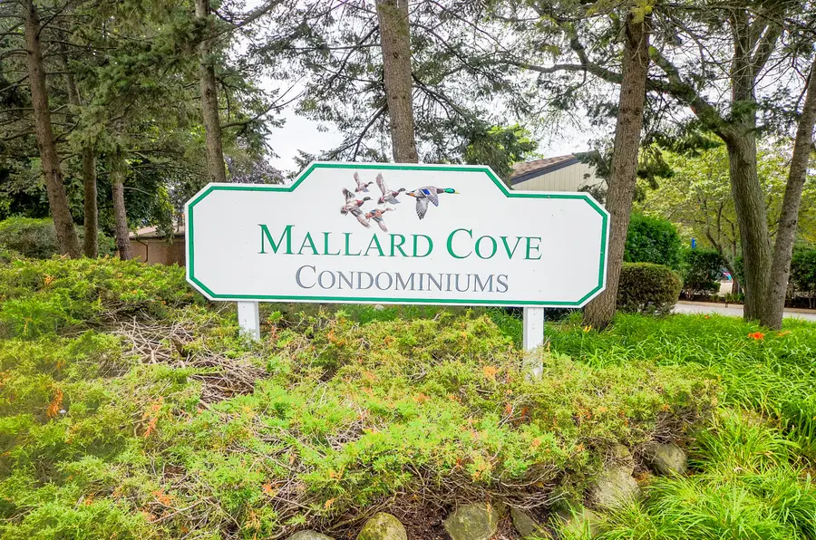 1206 S New Wilke Road #108, Arlington Heights, IL 60005 - Image #3