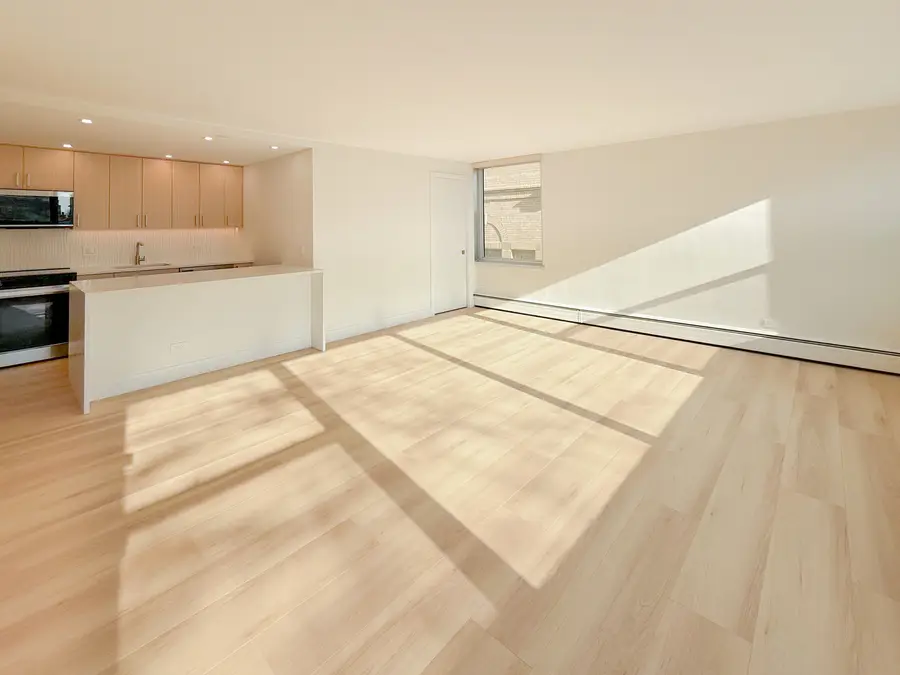 336 W Wellington Avenue #405, Chicago, IL 60657 - Image #3