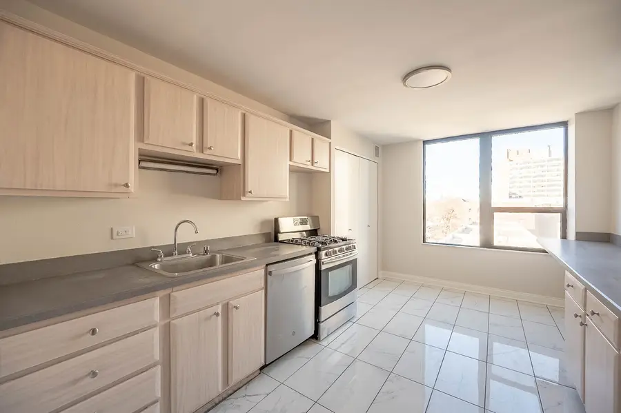 5201 S Cornell Avenue #4B, Chicago, IL 60615 - Image #3