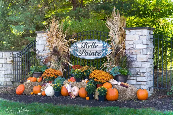 9617 Mels Way, Union, IL 60180