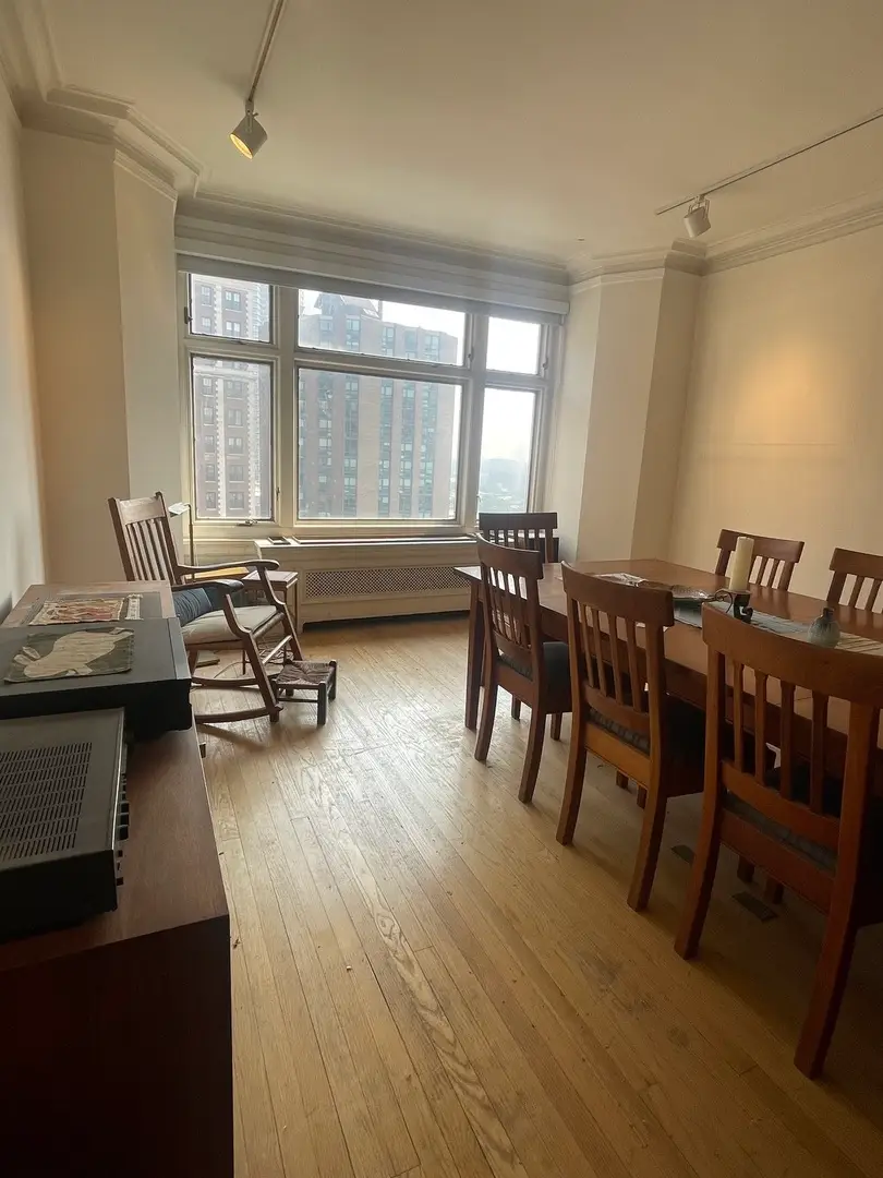 3800 N Lake Shore Drive #11E, Chicago, IL 60613 - Image #3