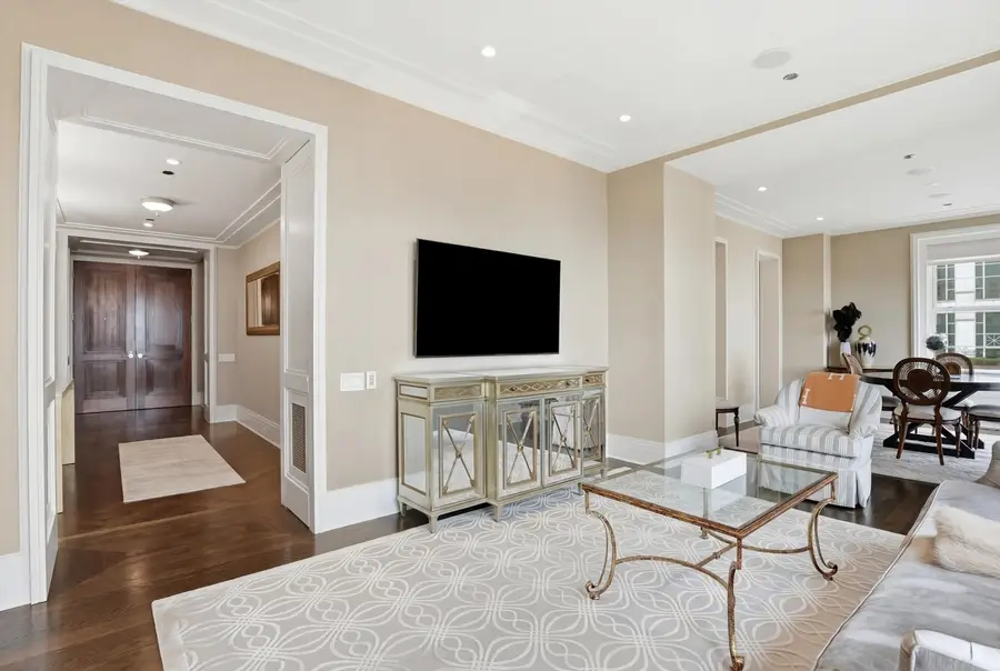 159 E Walton Place #13A, Chicago, IL 60611 - Image #3