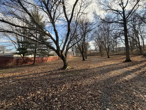 301 W Oak Street, Saybrook, IL 61770