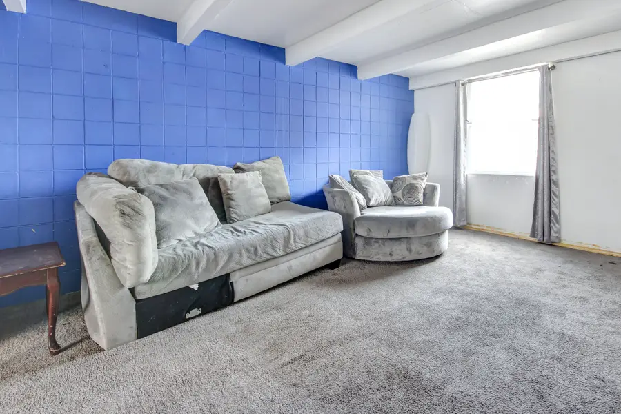 829 E 48th Street #D, Chicago, IL 60615 - Image #3