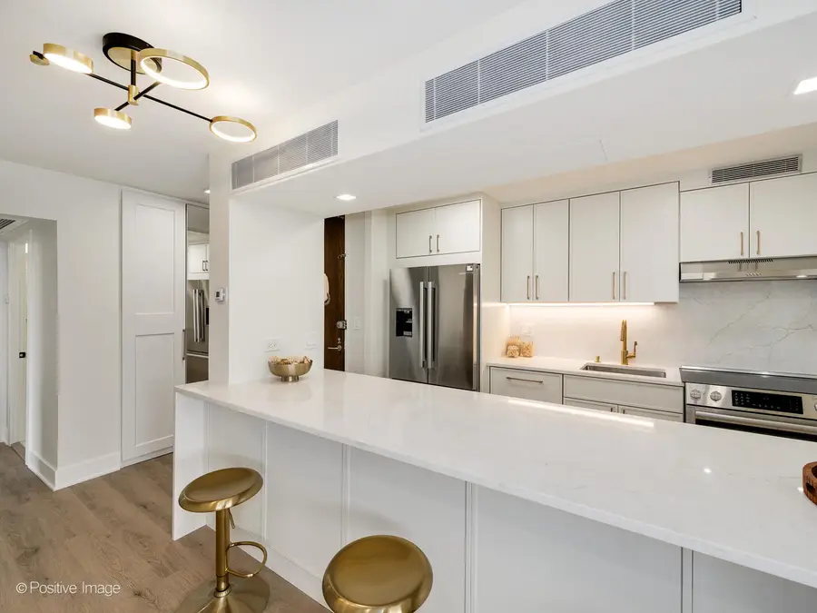 1310 N Ritchie Court #27B, Chicago, IL 60610 - Image #3