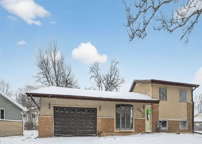 231 Farragut Street, Park Forest, IL 60466 - #3