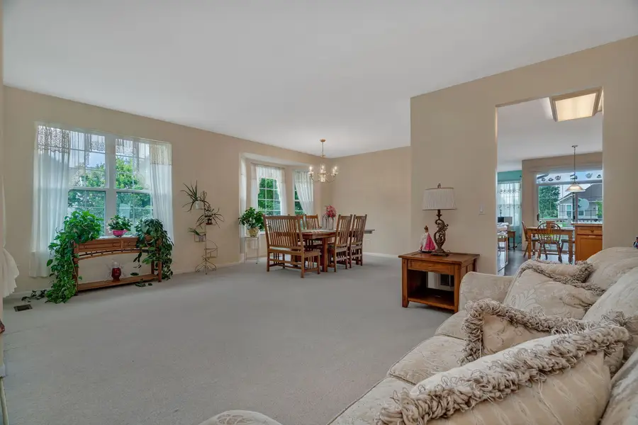 21201 Lily Lake Lane, Crest Hill, IL 60403 - Image #3