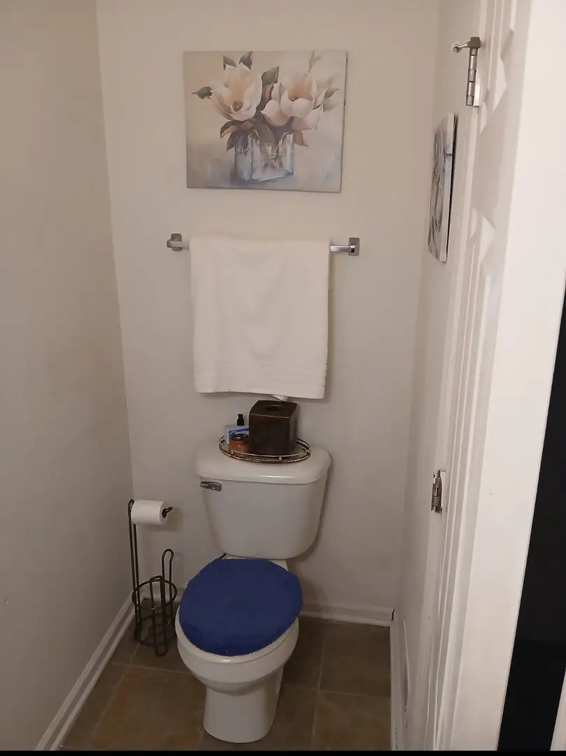 3919 Pratt Street, Plano, IL 60545 - #2