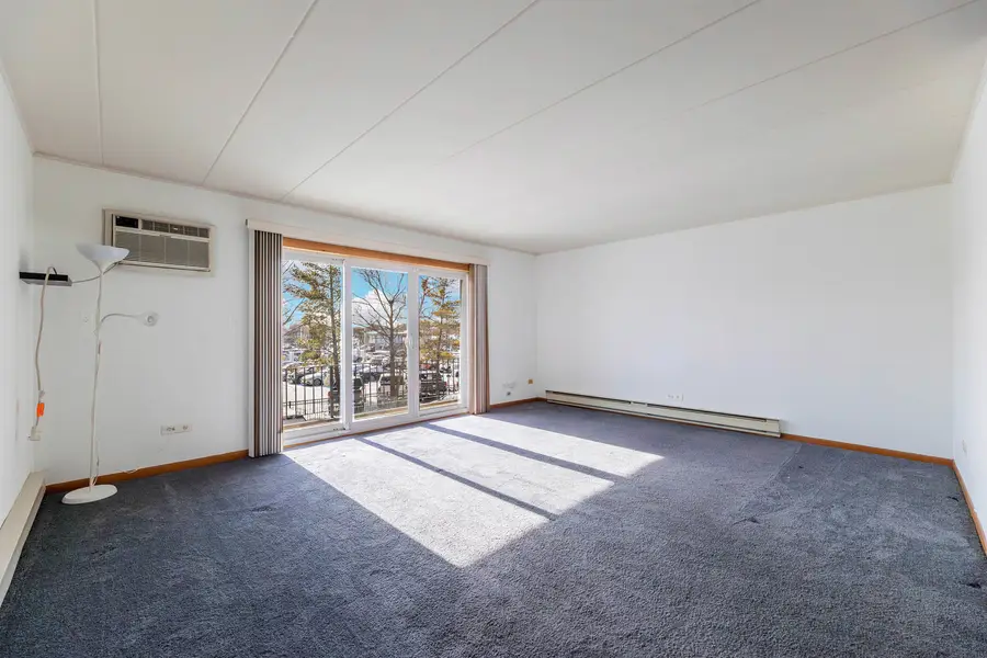 10117 S Cicero Avenue #206, Oak Lawn, IL 60453 - Image #3