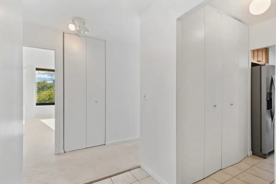 155 N Harbor Drive #403, Chicago, IL 60601 - Image #3