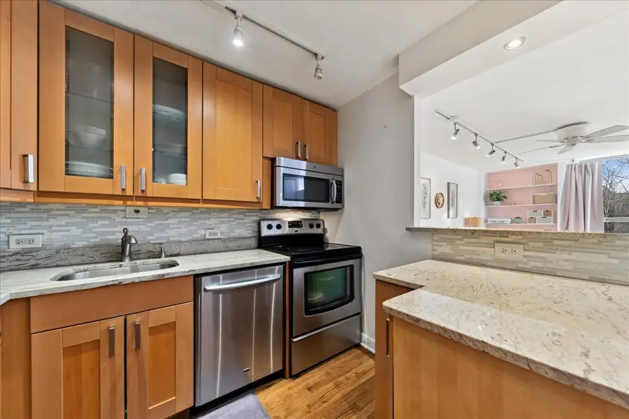 1355 N Sandburg Terrace #203D, Chicago, IL 60610 - Image #2