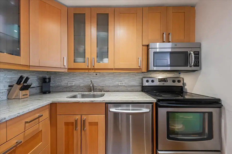 1355 N Sandburg Terrace #203D, Chicago, IL 60610 - Image #3