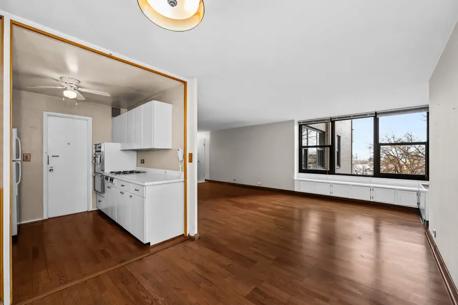 3430 N Lake Shore Drive #4K, Chicago, IL 60657 - Image #2