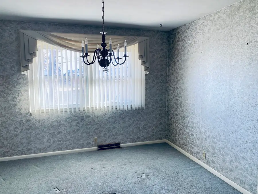 201 Janet Avenue, Rochelle, IL 61068 - #3