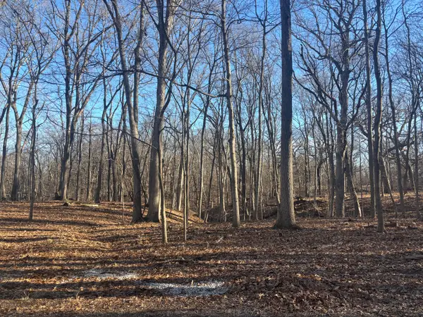 1761-1762 Sunflower Drive, Varna, IL 61375