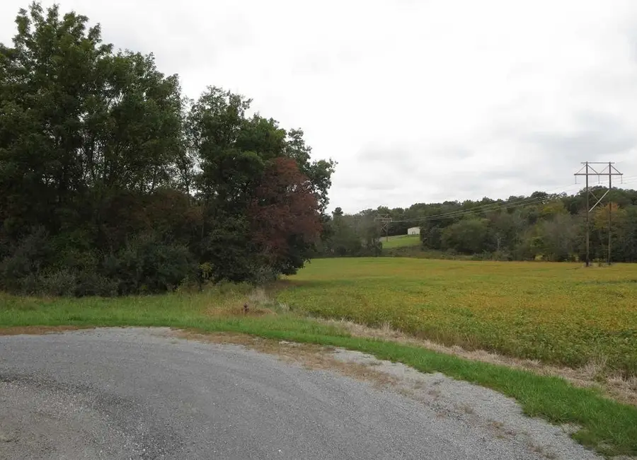 1924 Castle Oaks Road, Pittsburg, IL 62974 - #3