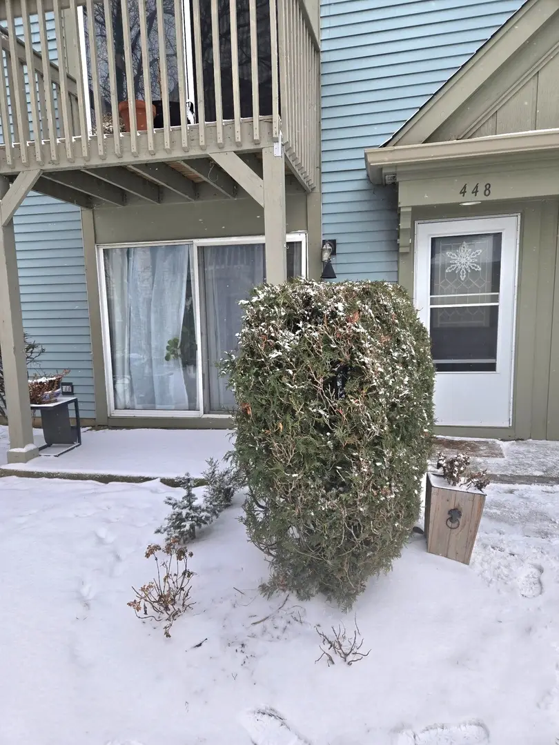 448 Bridle Trail #448, Wheeling, IL 60090 - Image #1