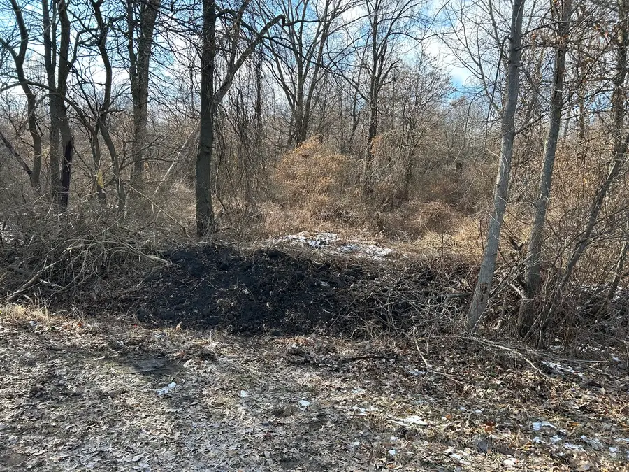 15500 15500 Road, Pembroke Township, IL 60958 - #3