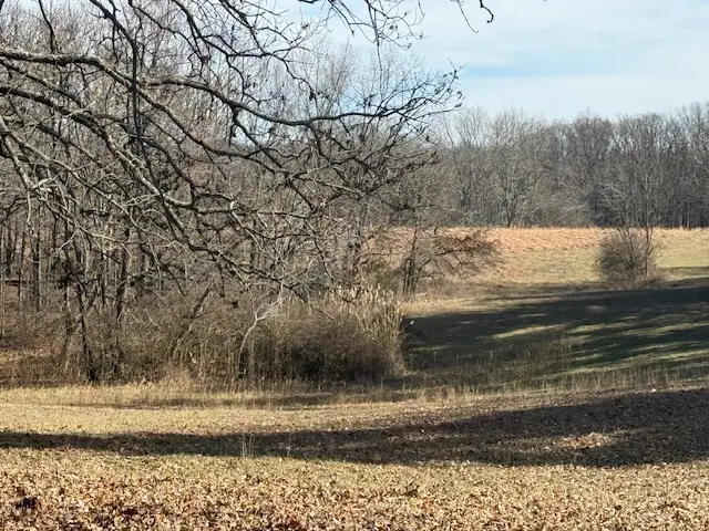 0000 N Harmony Lane, Mount Vernon, IL 62864 - Image #2