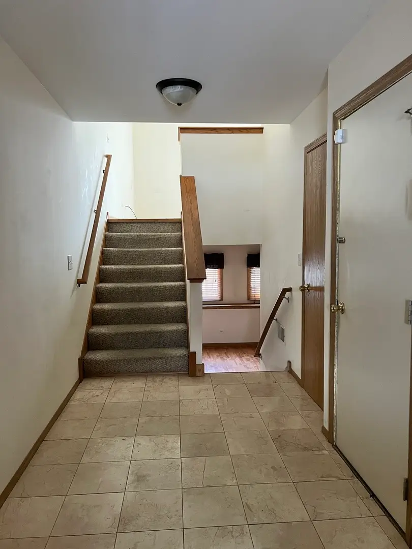 8256 W Chestnut Court, Frankfort, IL 60423 - Image #3