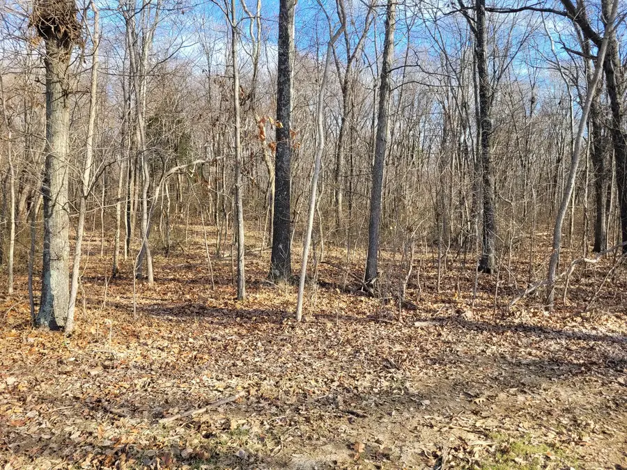 242 State Route 37 Highway, Kell, IL 62853 - #2