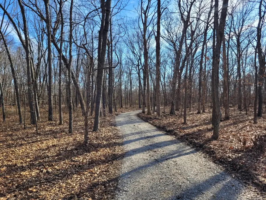 242 State Route 37 Highway, Kell, IL 62853 - #3