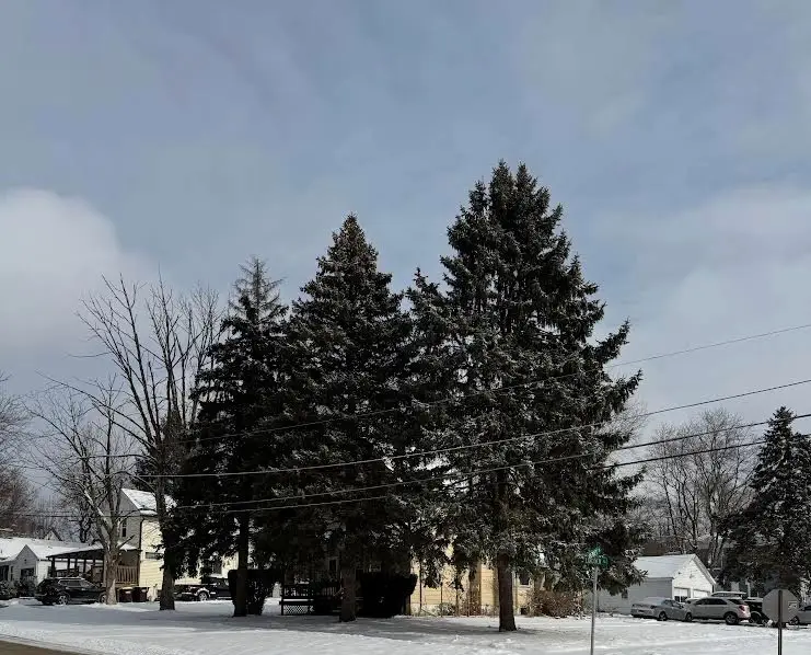 201 N Lincoln Street, Harvard, IL 60033 - Image #3