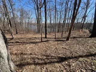 Lot 244 Parrish Ridge Lane, Goreville, IL 62939 - Image #2
