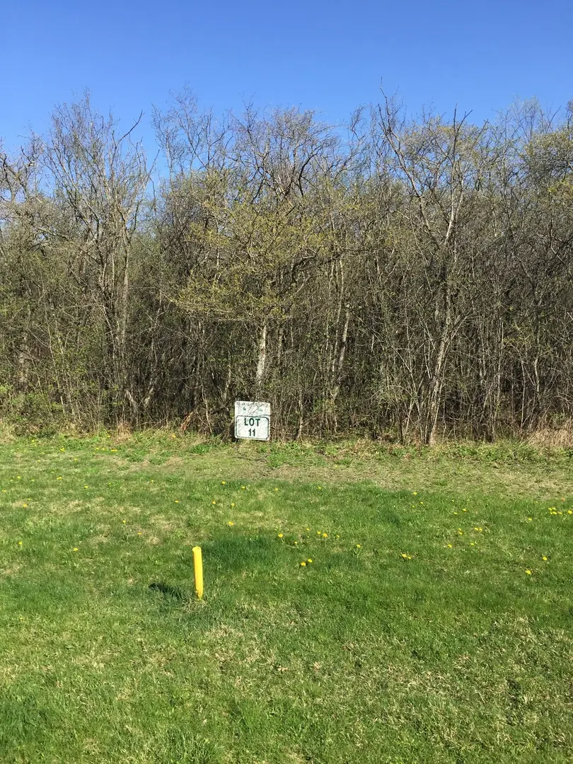 2 Alexandra Drive, Mettawa, IL 60048 - #2