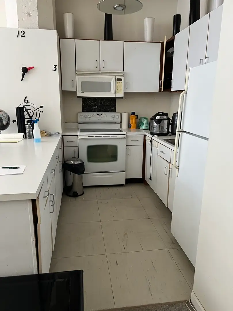 124 W Polk Street #503, Chicago, IL 60605 - Image #3