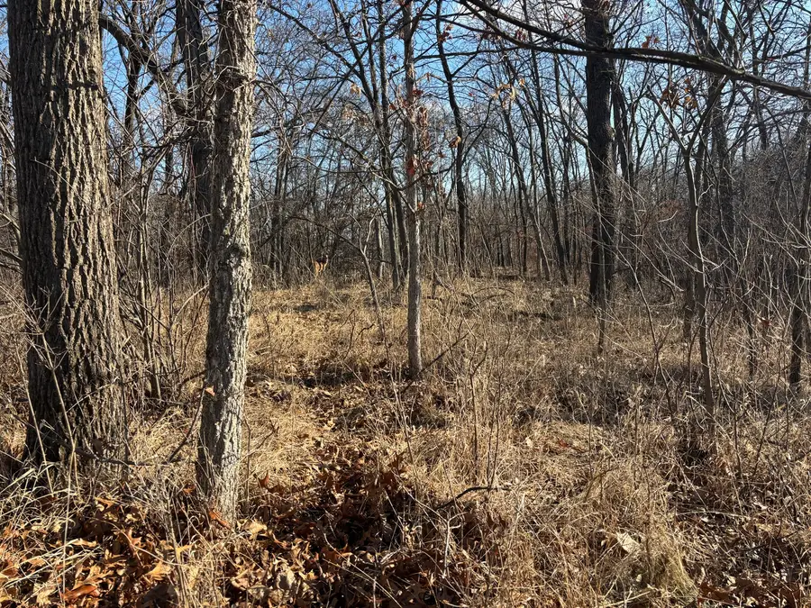 516 Brandywine Circle, Varna, IL 61375 - Image #2