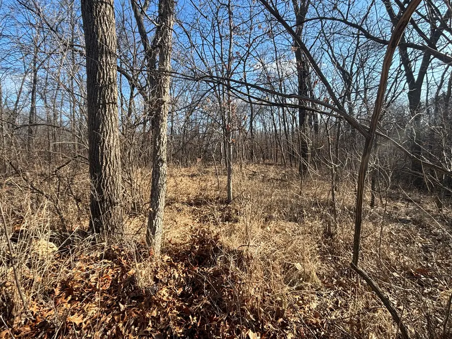 516 Brandywine Circle, Varna, IL 61375 - Image #3