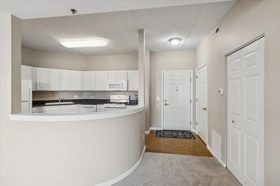 3100 Town Square Drive #308, Rolling Meadows, IL 60008 - Image #2